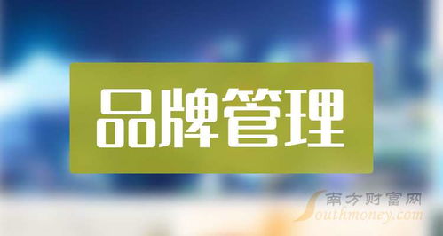 2024年品牌管理概念上市公司名單梳理